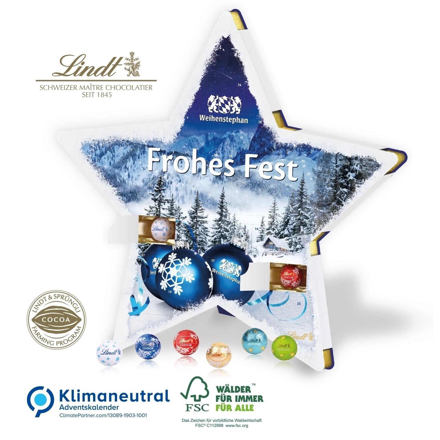 Adventskalender Stern, Klimaneutral, FSC®